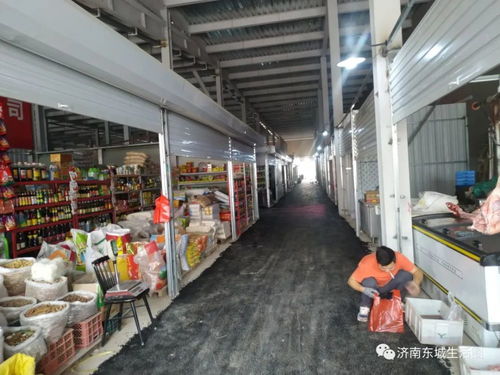 雪山片區西南角新增大型農貿批發市場和舊貨市場，7月1日盛大開業